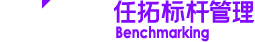 Nint任拓標(biāo)桿管理